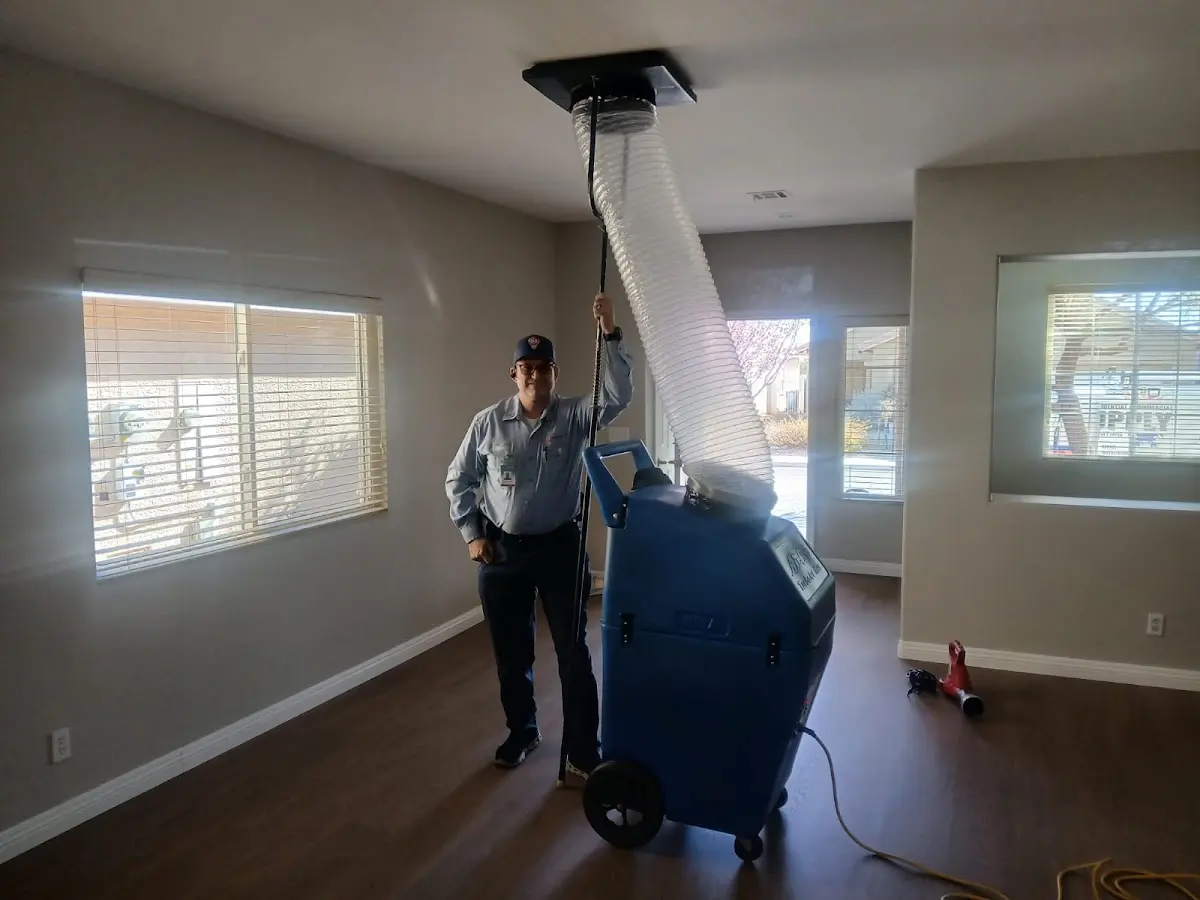 Professional Dryer Vent Cleaning work inside a Newtown home